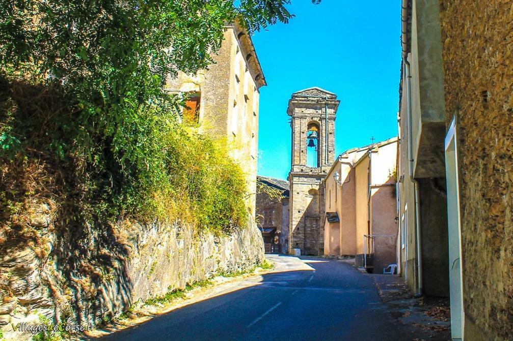 9 Rue De La Traverse Stazzona エクステリア 写真