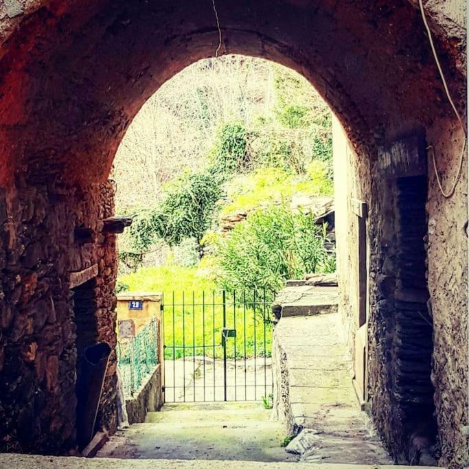 9 Rue De La Traverse Stazzona エクステリア 写真